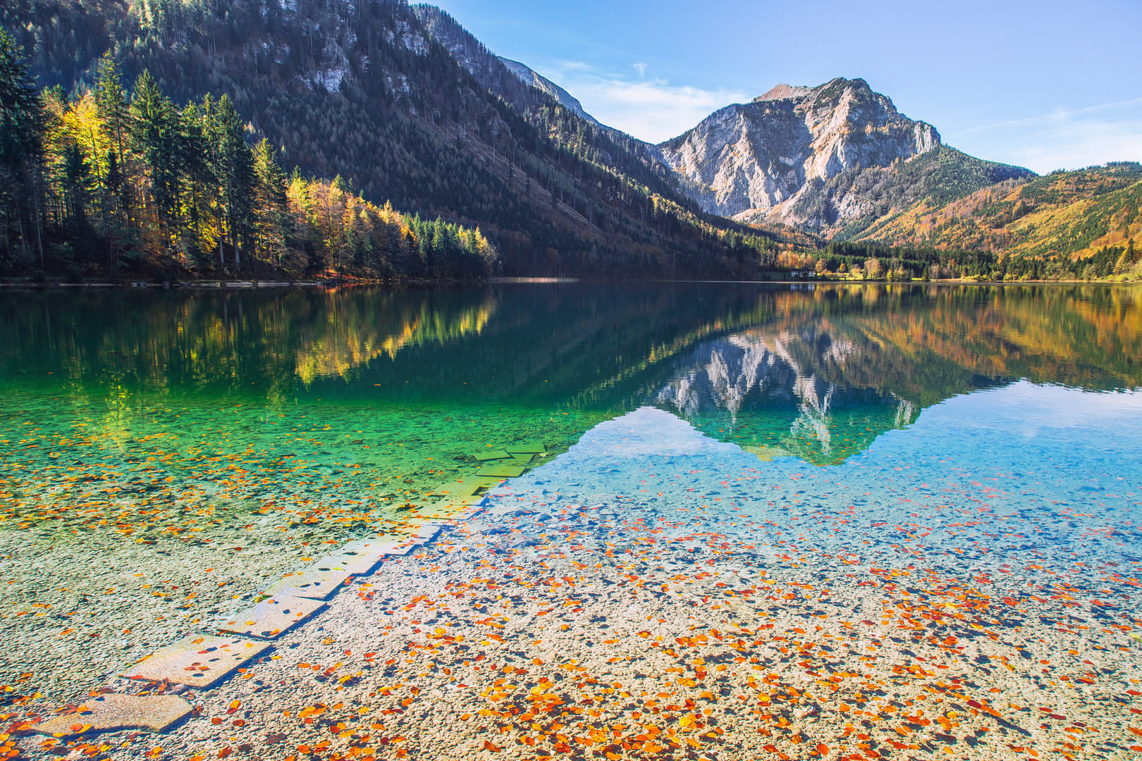 Schwimmendes Herbstlaub