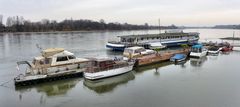 Schwimmendes Restaurant auf dem Rhein bei Rodenkirchen