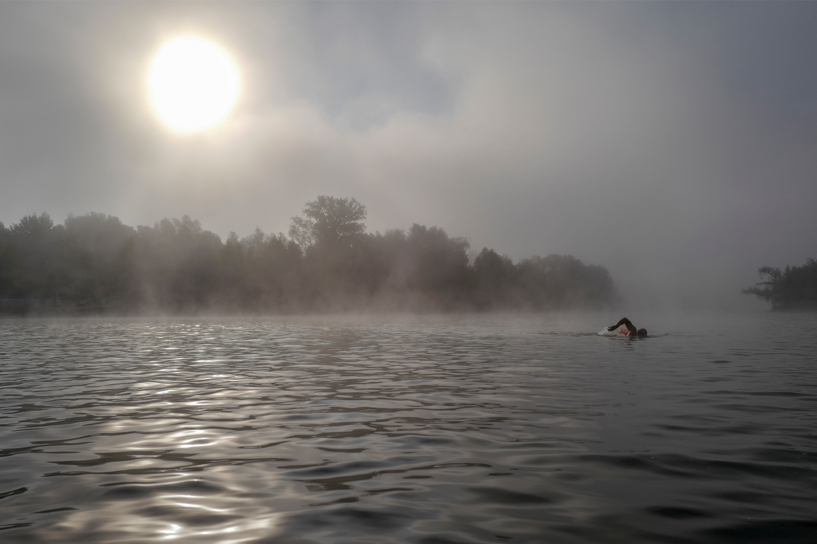 Schwimmer am Morgen 