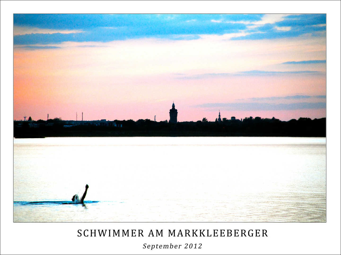 Schwimmer am Neuseenland