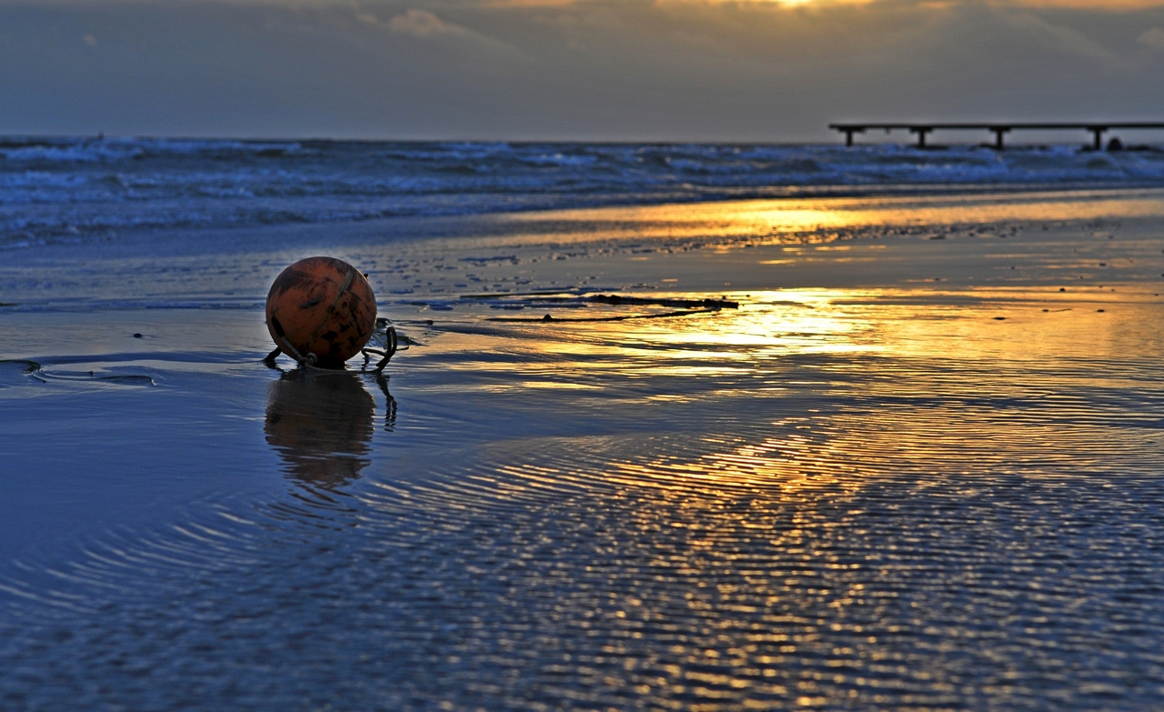 "Schwimmer" am Südstrand