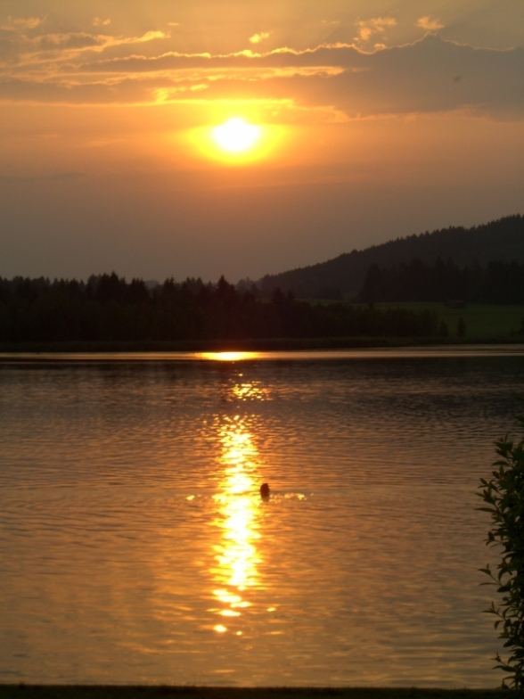 Schwimmer im Abendrot