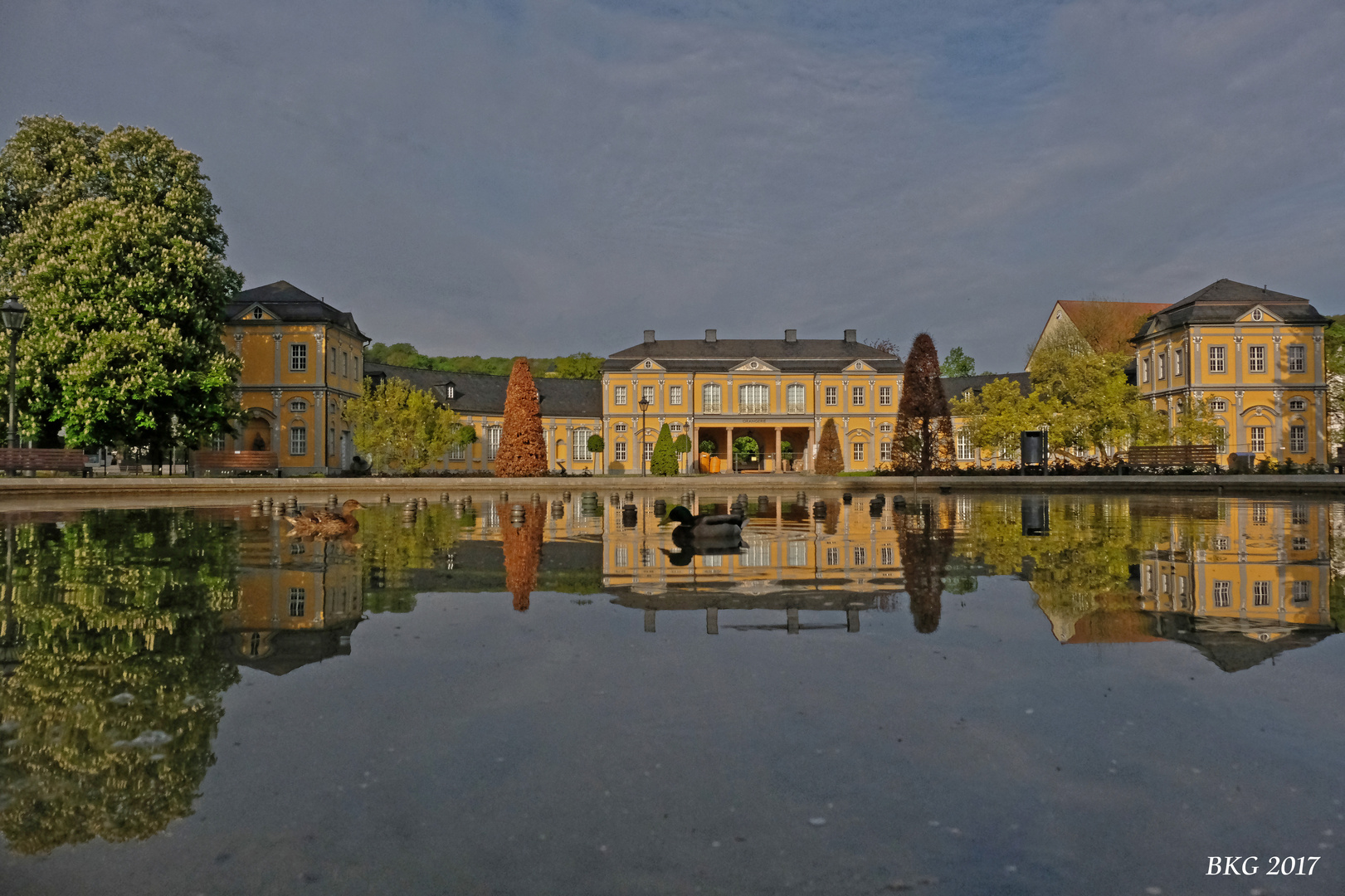 Schwimmerpaar am Frühen Morgen 