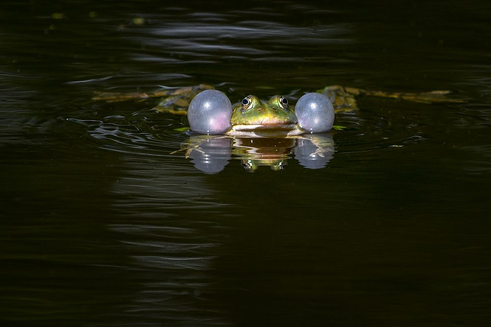 Schwimmhilfen