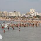 Schwimmschlangen vor Portimao