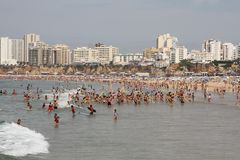 Schwimmschlangen vor Portimao