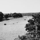 Schwimmstart am Main-Donau-Kanal zum Datev Challange in SW