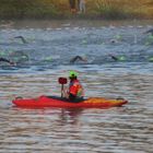 Schwimmstart beim Datev Challenge Triathlon Roth