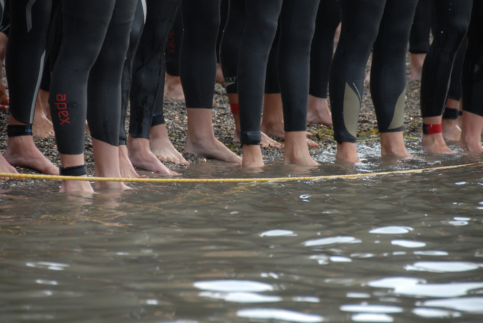 Schwimmstart beim Erbacher Tri