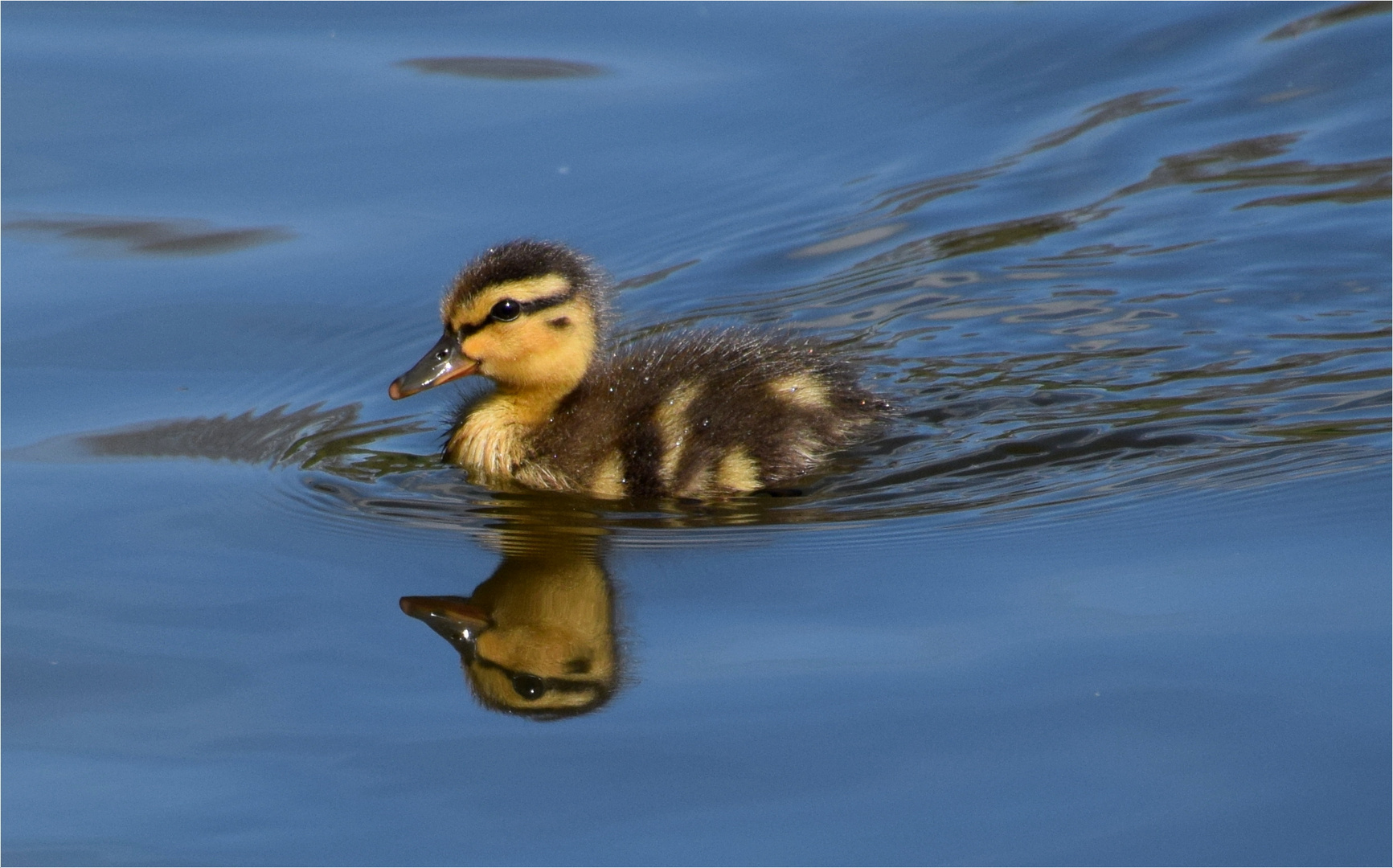 ..Schwimmstunde..