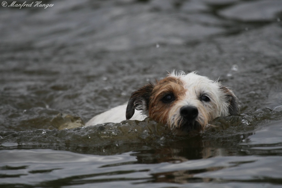 Schwimmstunde ,-)