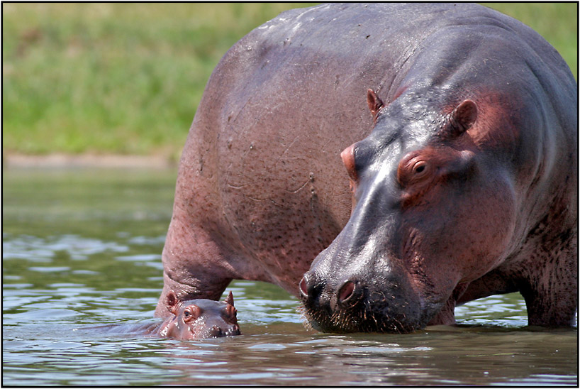 schwimmstunde