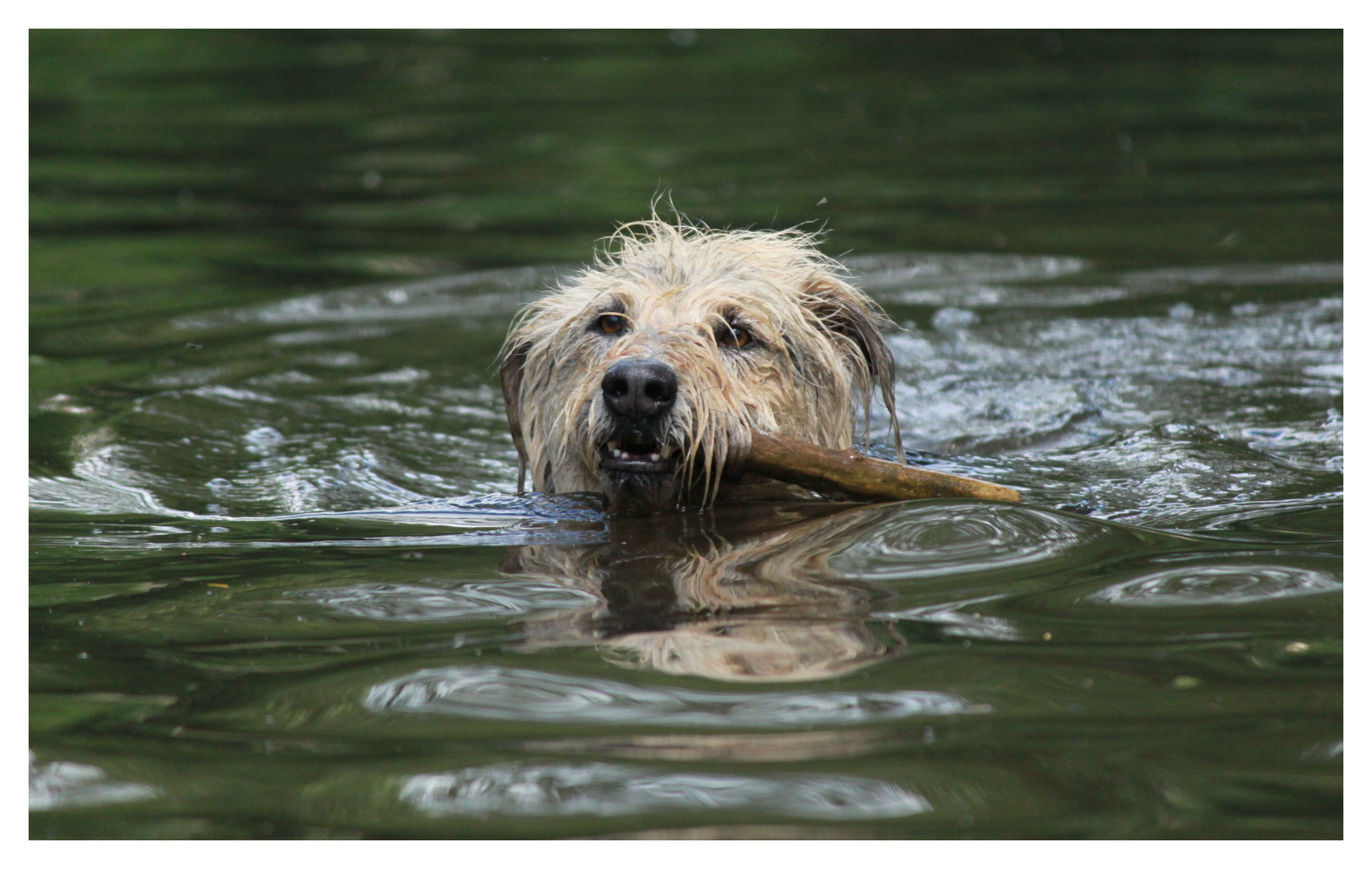 Schwimmtraining