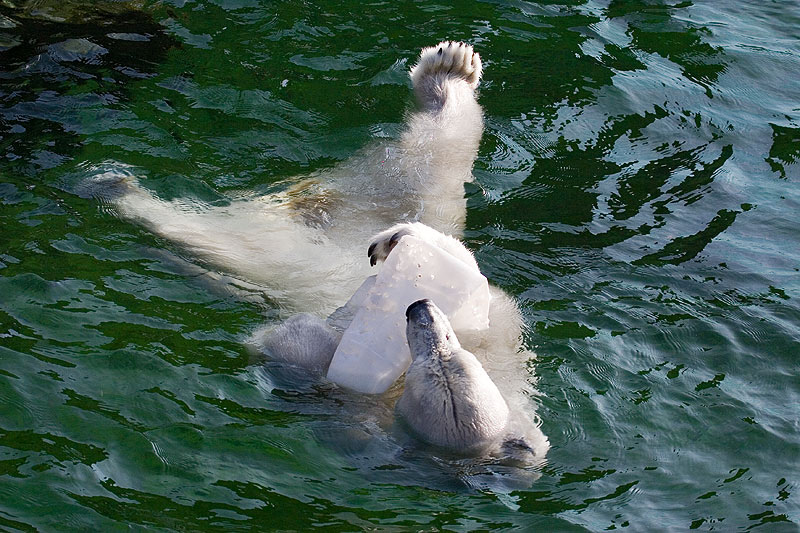 Schwimmübungen