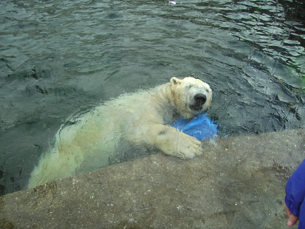 Schwimmunterricht ;-)