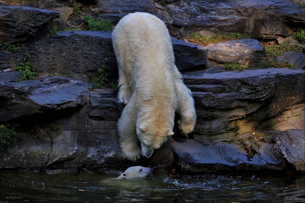  ~ Schwimmunterricht ~