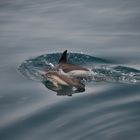 Schwimmunterricht im Atlantik Lektion 2