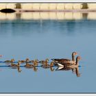 Schwimmunterricht in der Eskorte