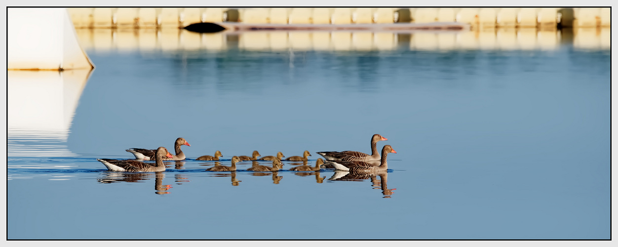 Schwimmunterricht in der Eskorte