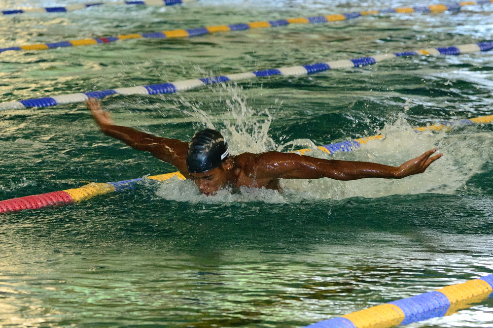 Schwimmweltmeisterschaften in Warendorf