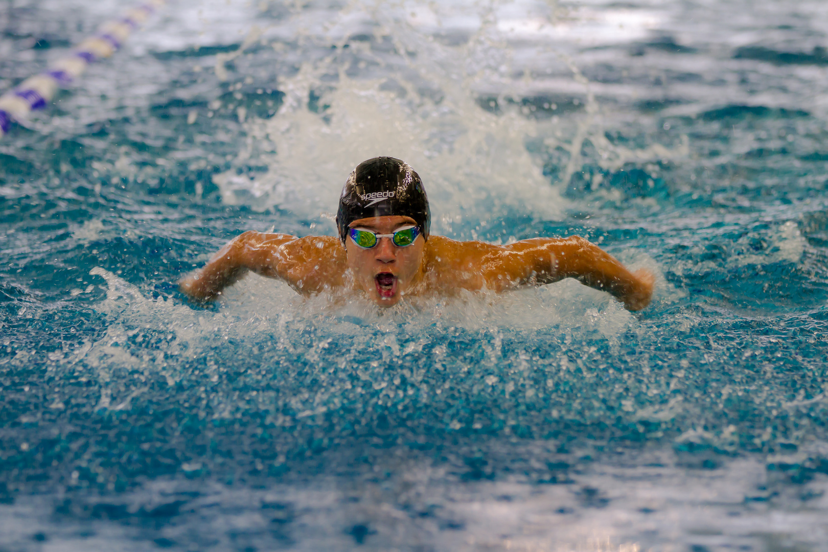 Schwimmwettkampf in Zwickau Nov.2013.