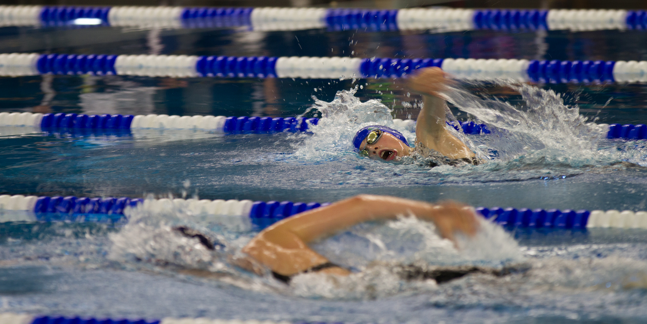 Schwimmwettkampf in Zwickau Nov.2013..