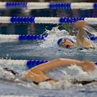 Schwimmwettkampf in Zwickau Nov.2013..