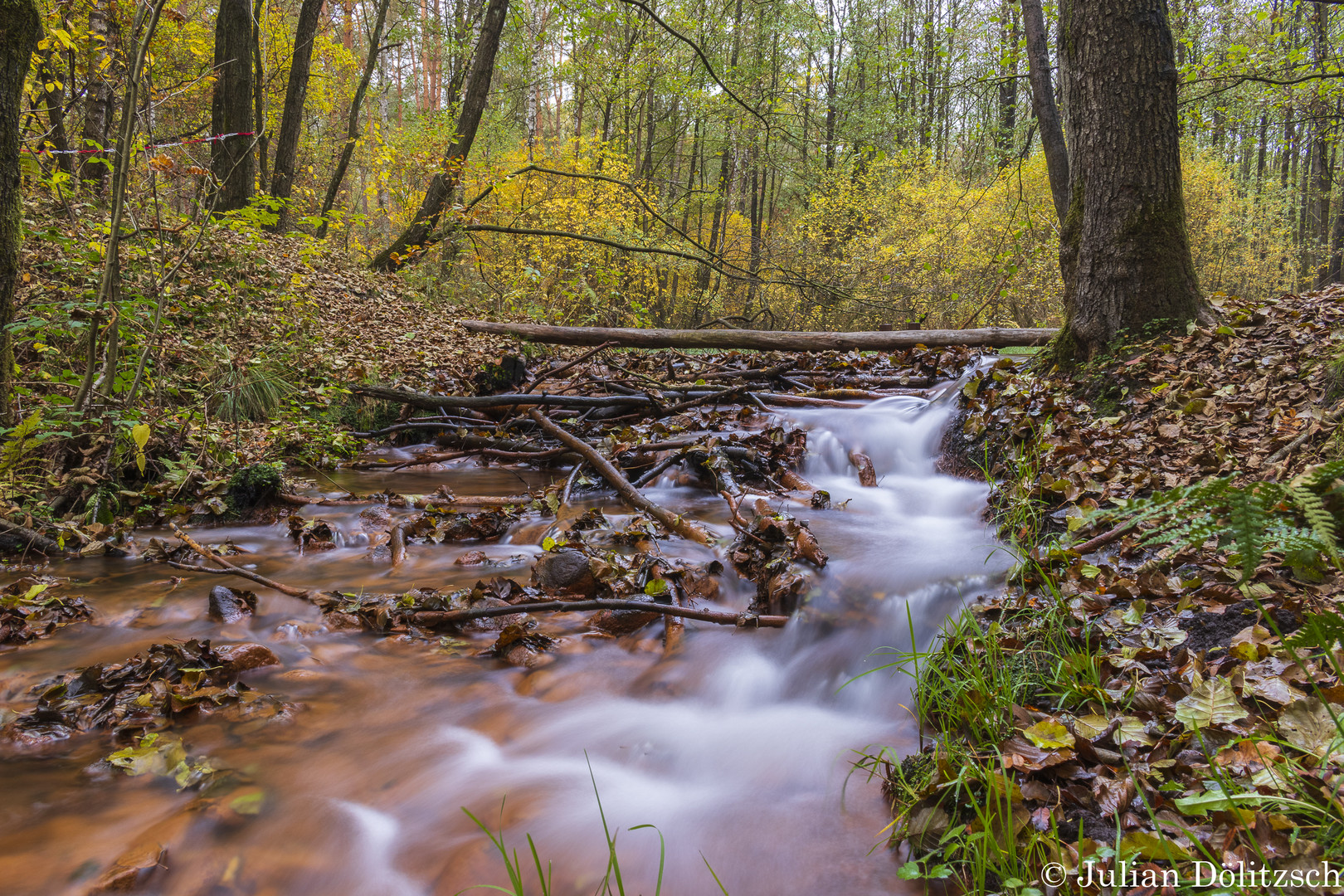 Schwindebach im Herbst