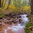 Schwindebach im Herbst