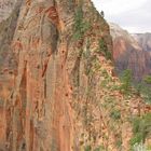 schwindelfrei? Zion Angelslanding