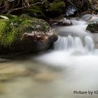 Schwindendes Wasser