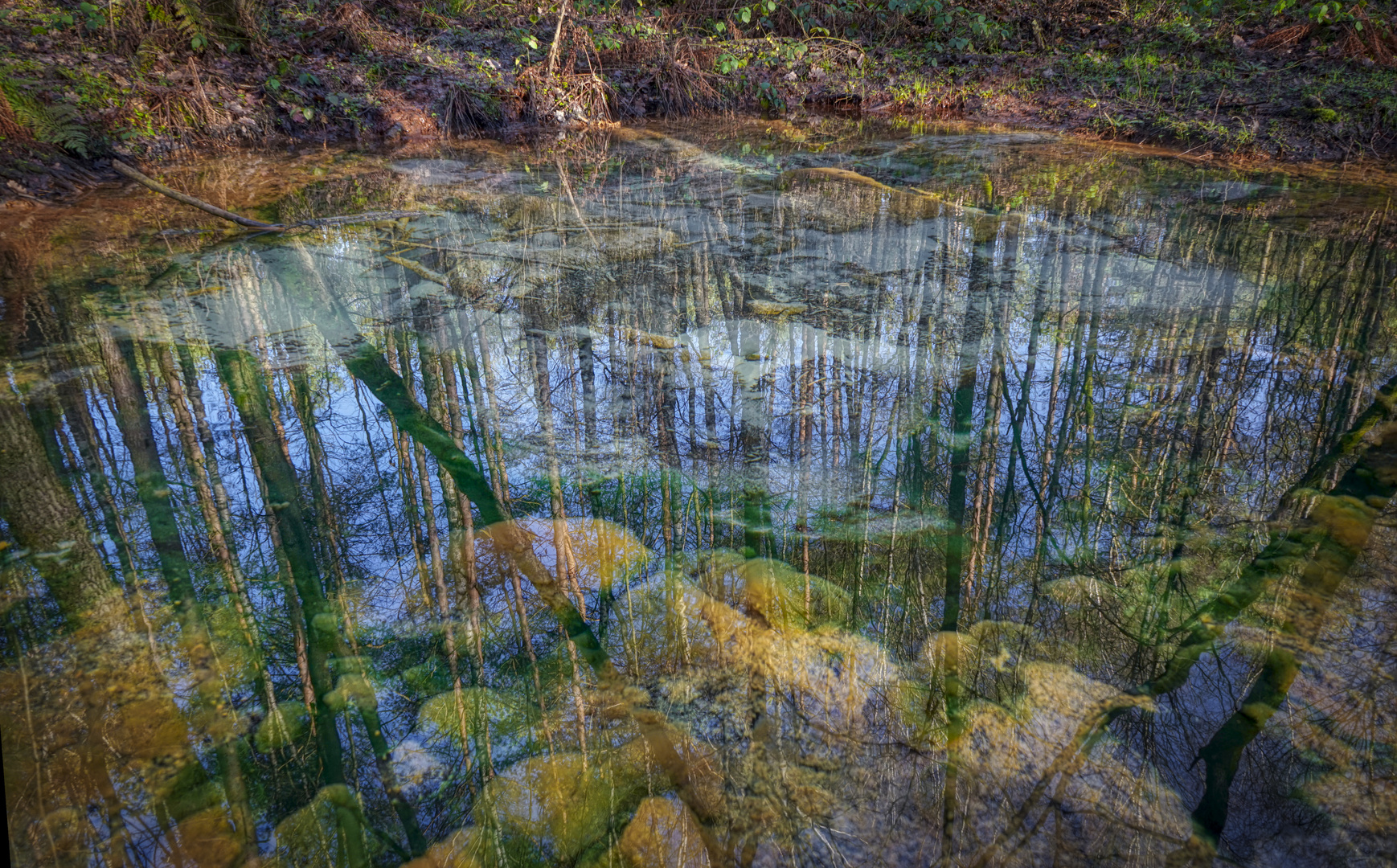  Schwindequelle Naturwunder in der Lüneburger Heide 