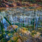  Schwindequelle Naturwunder in der Lüneburger Heide 