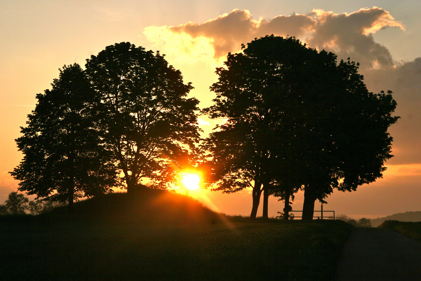 Schwingen der Morgenröte