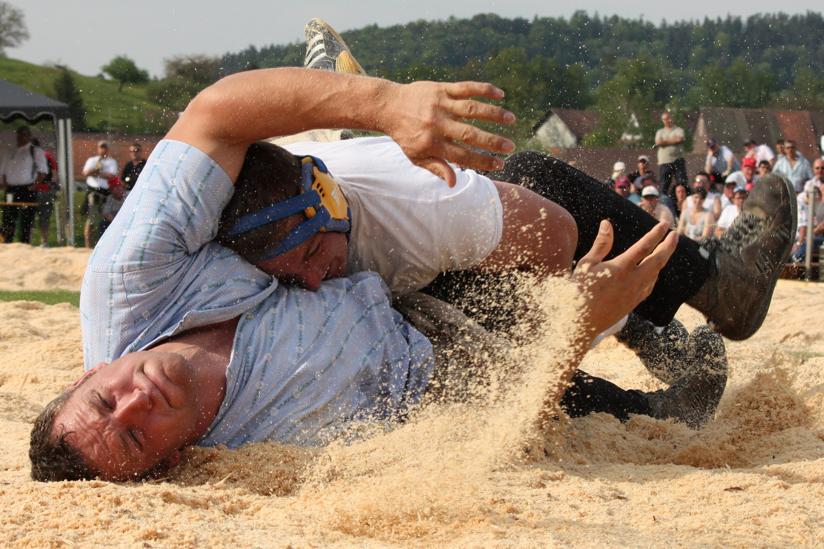 Schwingen - Schweizer Nationalsport