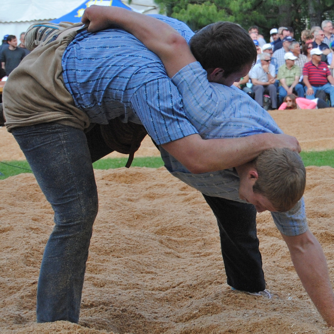 Schwingfest Sandgrube 2015