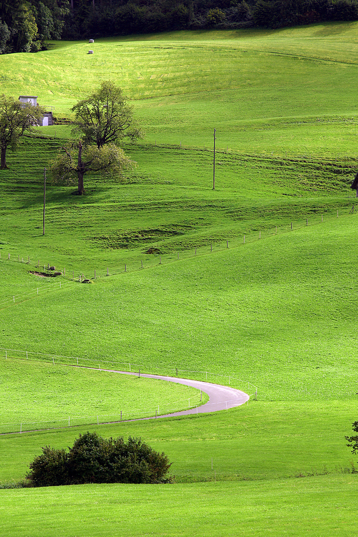 "Schwizer Landschaft"