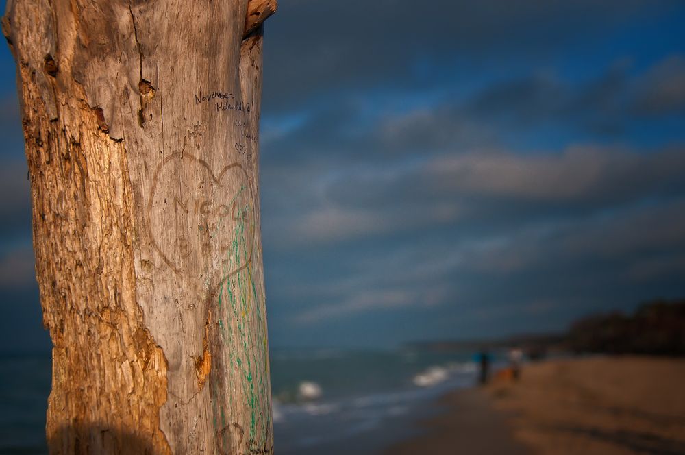 Schwüre am Strand