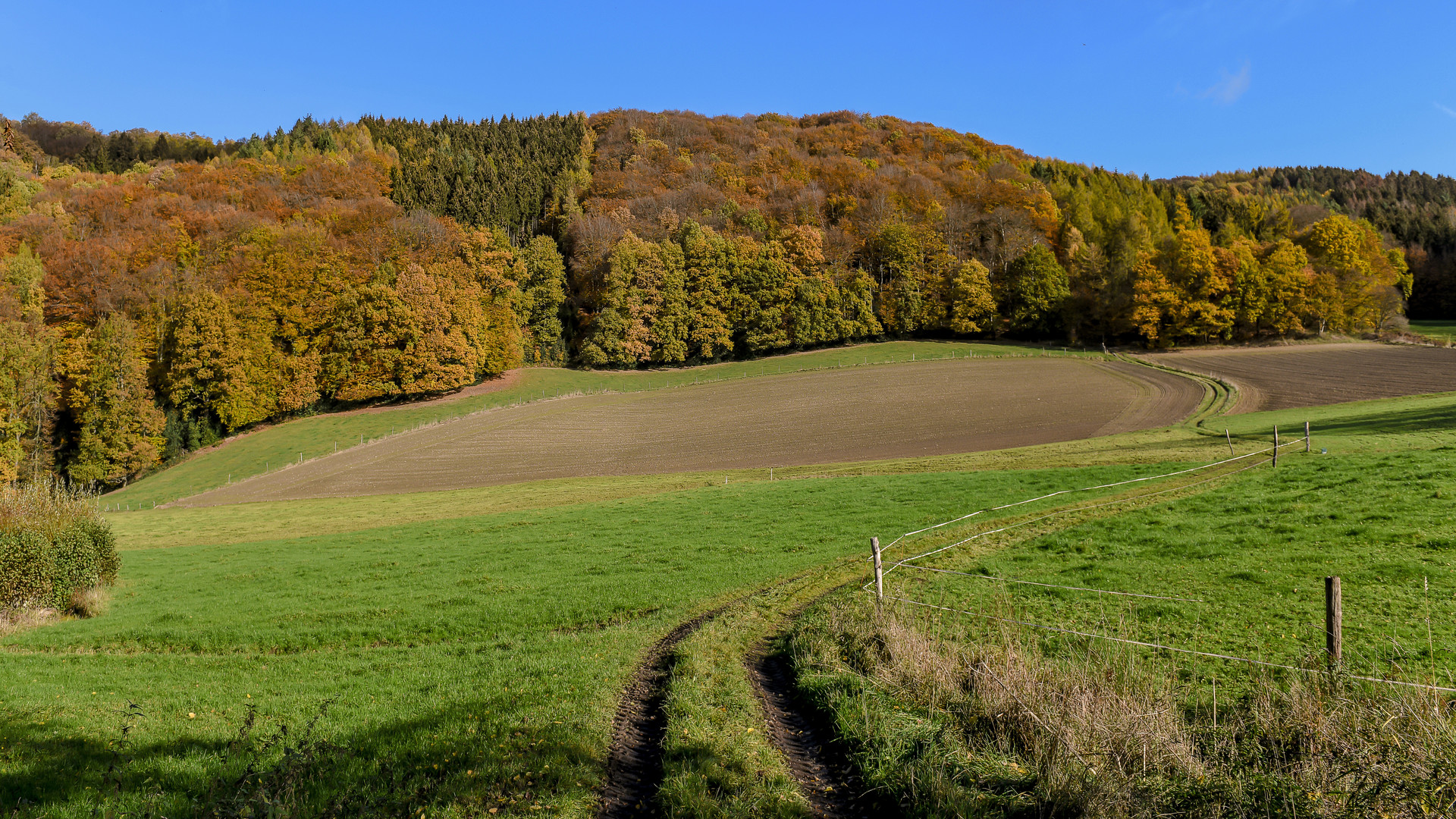 Schwungvoll