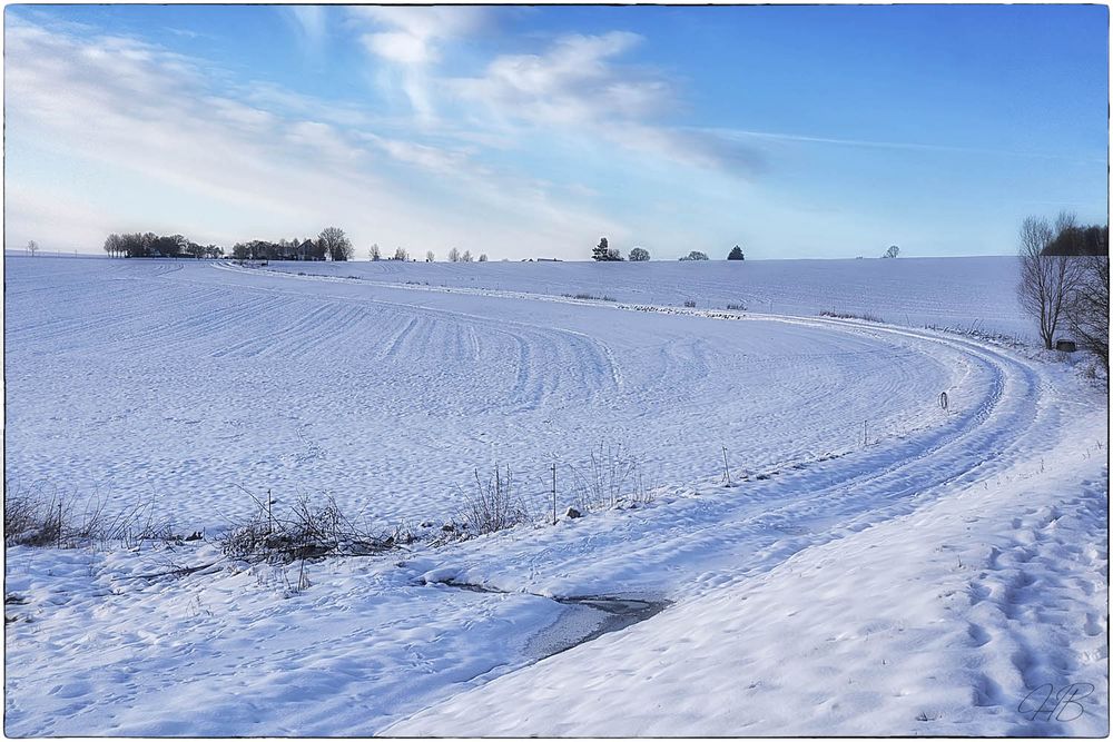 Schwungvoll durch den Winter! 