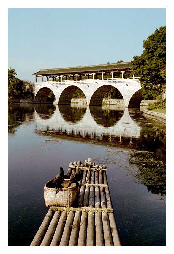 Schwungvolle Verbindungsbrücke