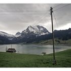 Schwyz: Nature & Organisation