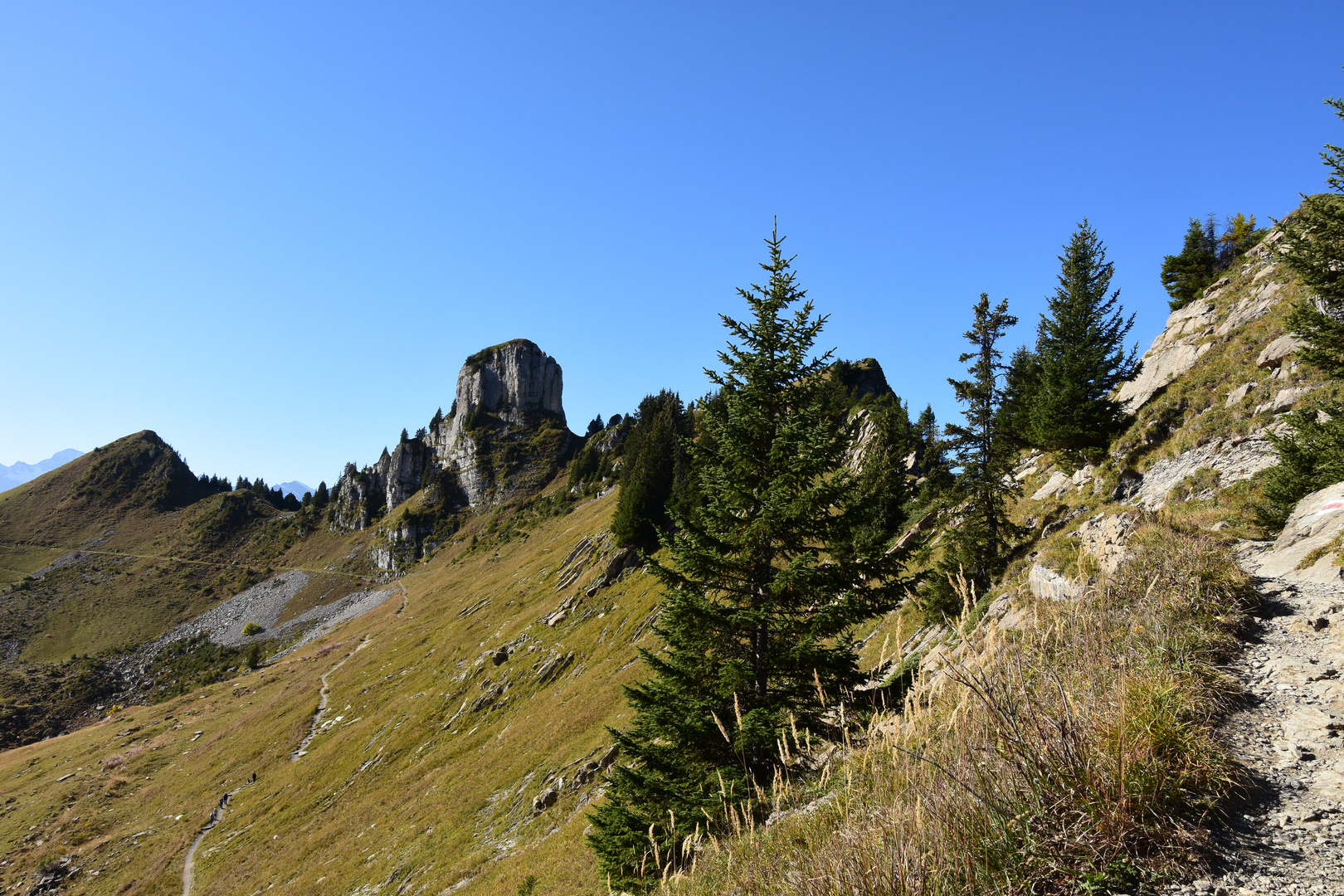 Schynige Platte 2