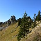 Schynige Platte 2