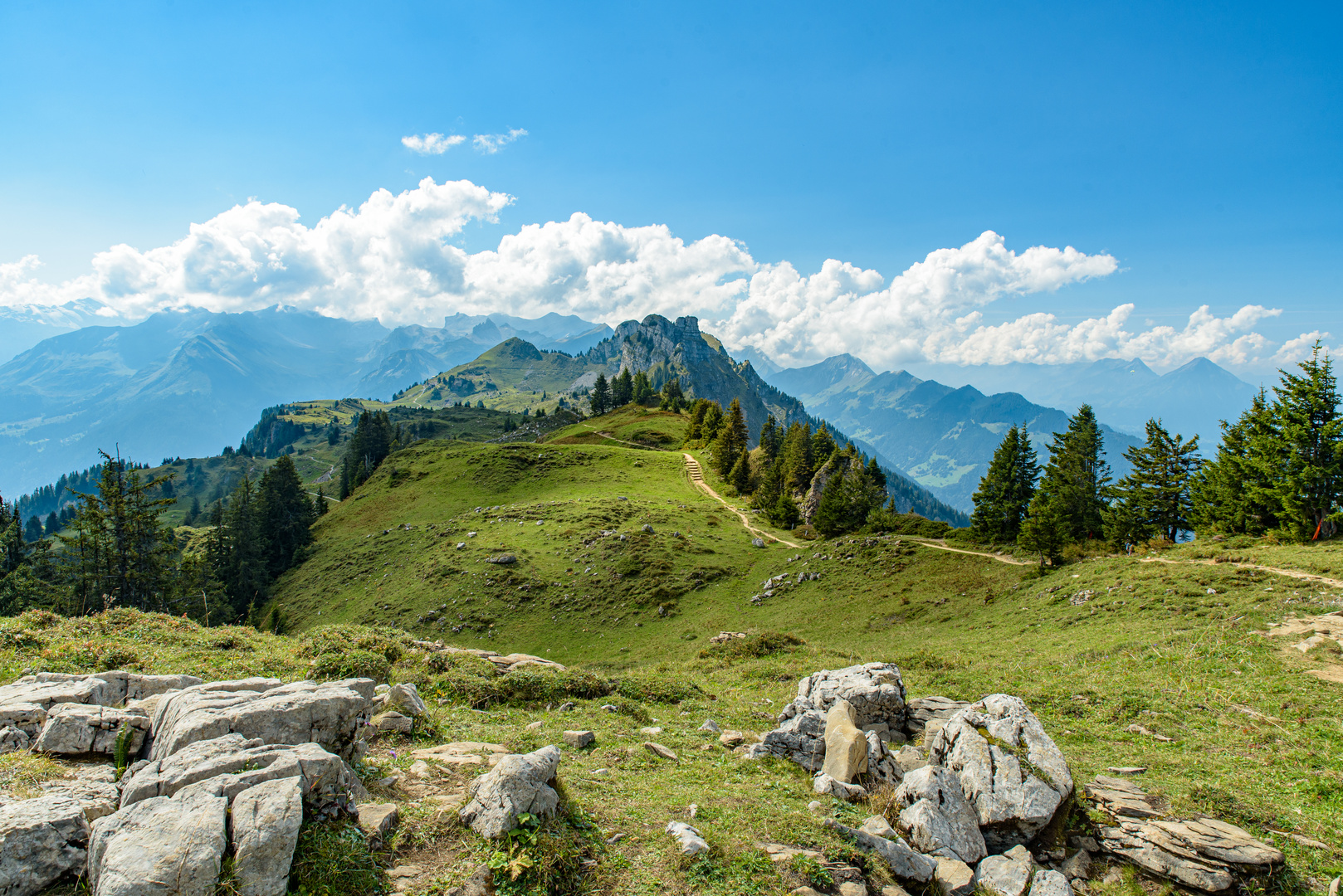 Schynige Platte (Berner Oberland)