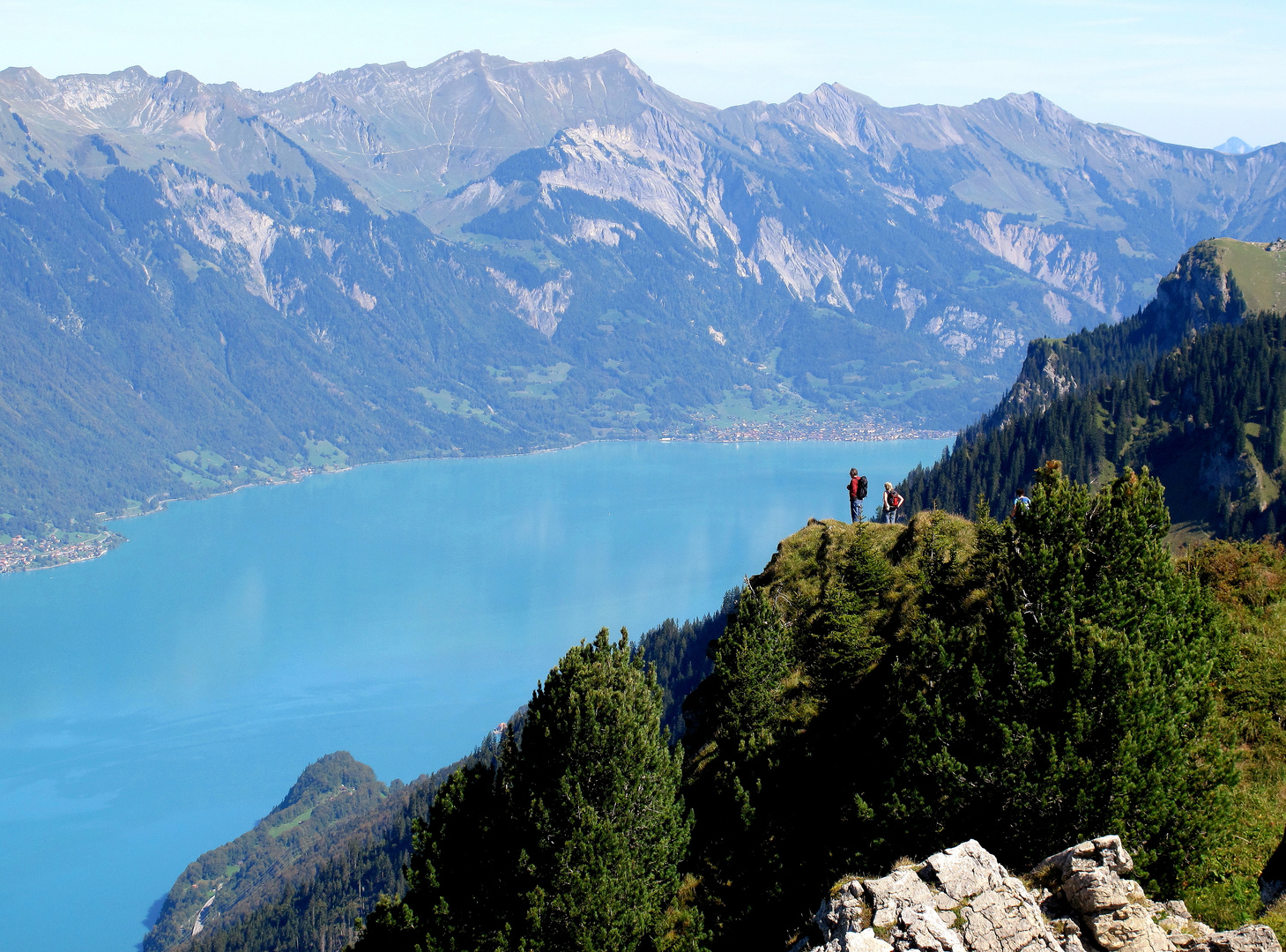 Schynige -Platte, Berner Oberland