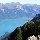 Schynige -Platte, Berner Oberland