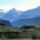 Schynige Platte mit Eiger, Mönch und Jungfrau