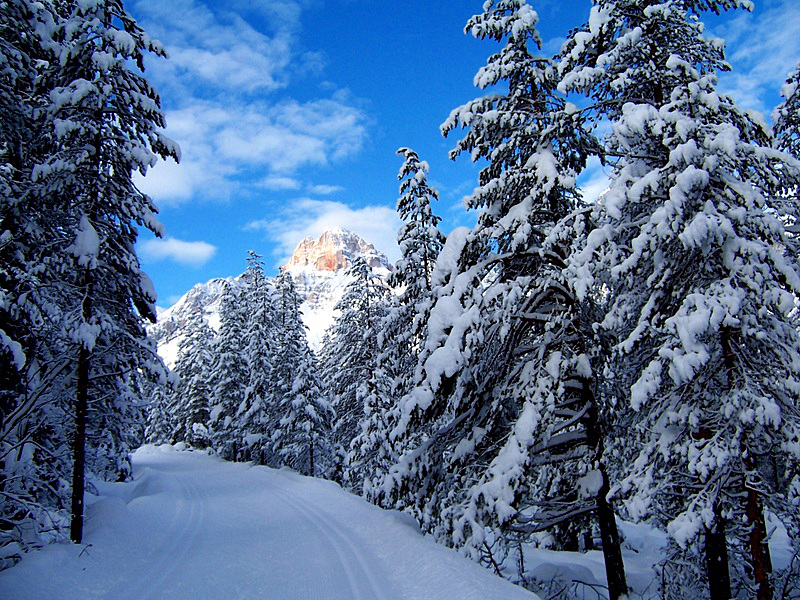 Sciando sulla Dobbiaco - Cortina