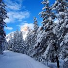 Sciando sulla Dobbiaco - Cortina